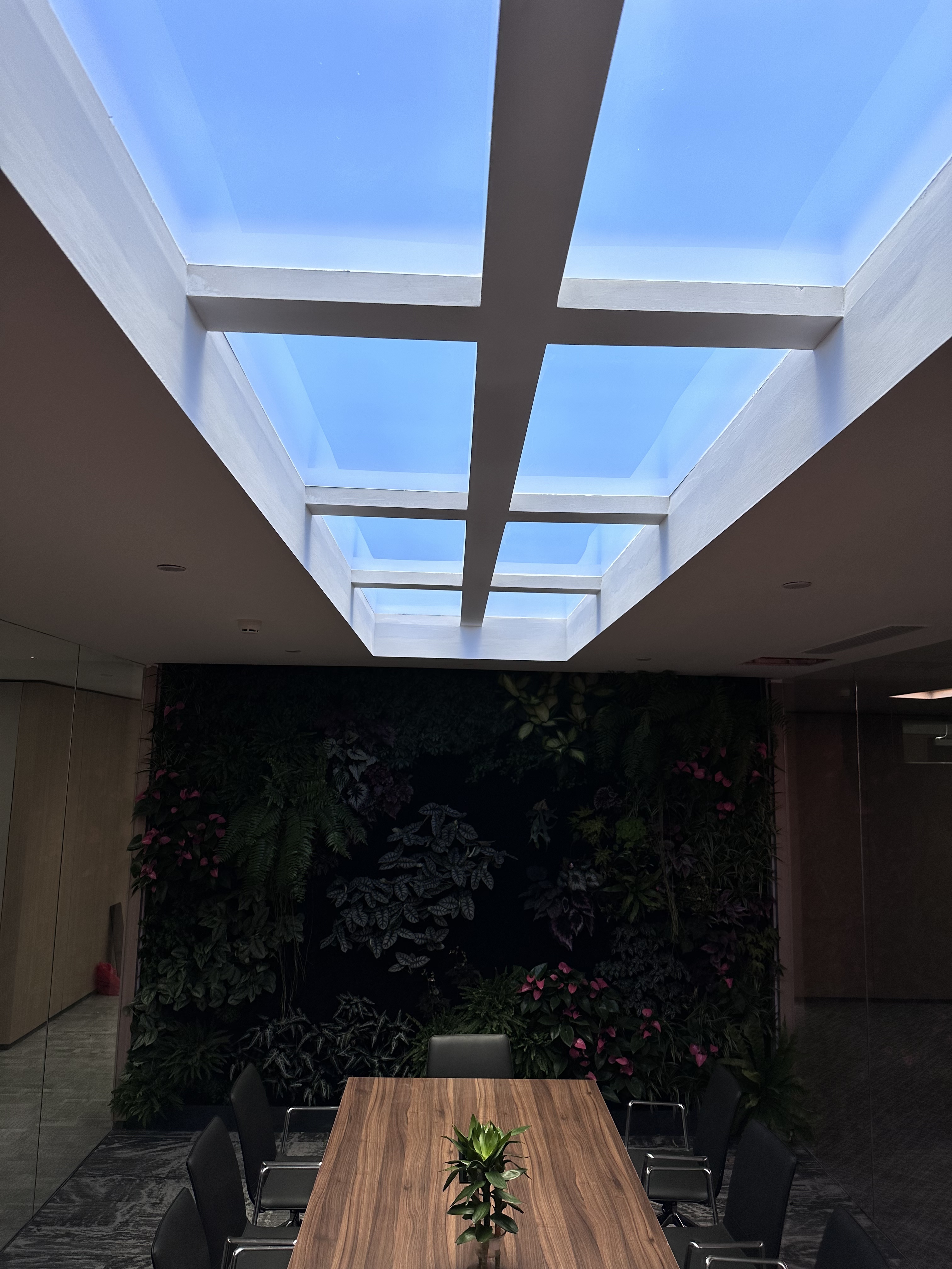 최신 회사 블로그 Why Rayleigh-Scattering Lights Are Different from Standard LED Panel Lights