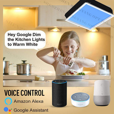 주문 6~10 평방 미터 방사성 면적 인공 하늘 천장등 L600*W600*H295mm 온라인 제조