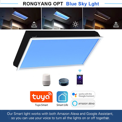 주문 에너지 절감 인공 LED 천장등 상업용 LED 야외 조명 3000K-6000K 온라인 제조