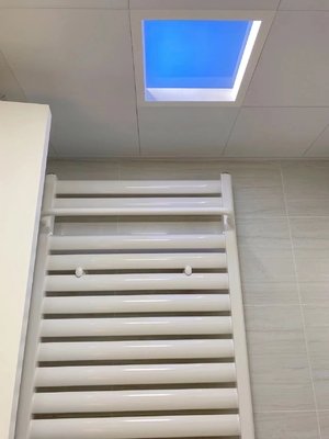 주문 에너지 절감 백색 인공 LED 천문화 조명망, 폭넓은 조명 커버 및 50000 시간 빛원 수명 온라인 제조