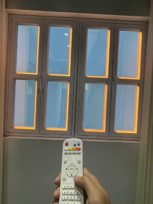 주문 자연 햇빛과 푸른 하늘을 위한 100-240V 전압 가짜 창문 패널 온라인 제조