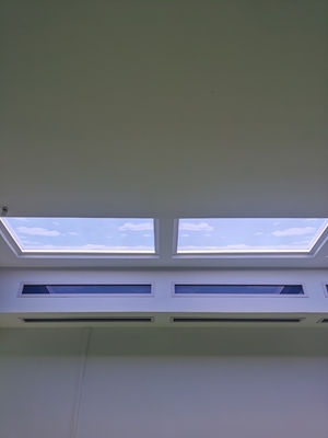 알루미늄 합금 상업용 인공 천장 LED 패널 외부 전력 소비 300W